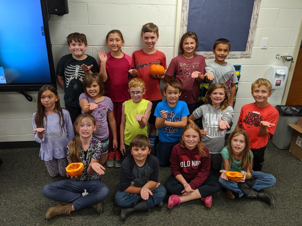3rd Grade Pumpkin Disection